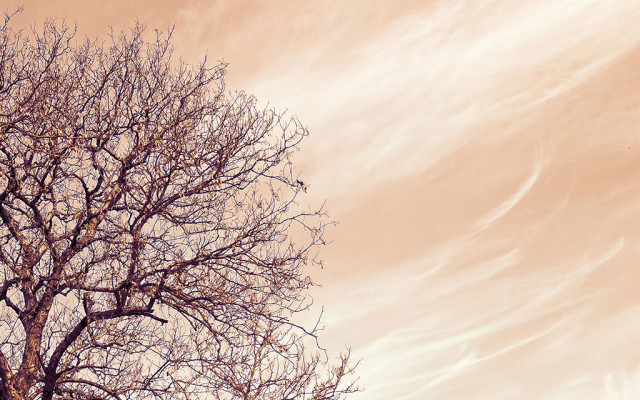 Guide your eyes and brain to think creatively with camera