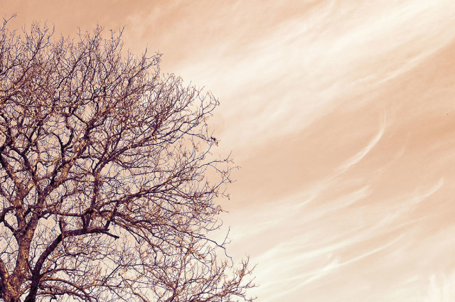 Guide your eyes and brain to think creatively with camera